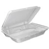 Dart Foam Hinged Container Large 200 / Cs