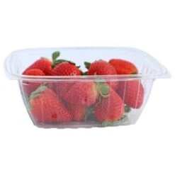 World Centric Pla Rectangle Deli Container 32oz, 6.1x7.6x2.8, Clear, Case Of 600