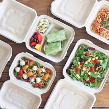 World Centric Fiber Hinged Container, 3-Compartment,8x8x3,natural,case Of 300 3 World Centric Fiber Hinged Container, 3-Compartment,8x8x3,natural,case Of 300 - Image 3